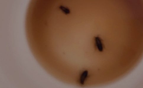 �x�������ӡ��и�����